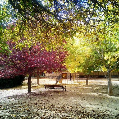 ホテル La Noguera Palomera エクステリア 写真